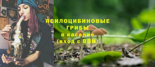 сатива Алзамай