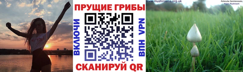наркотики  Джанкой  Галлюциногенные грибы Magic Shrooms 