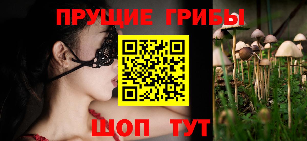 Галлюциногенные грибы Cubensis Джанкой